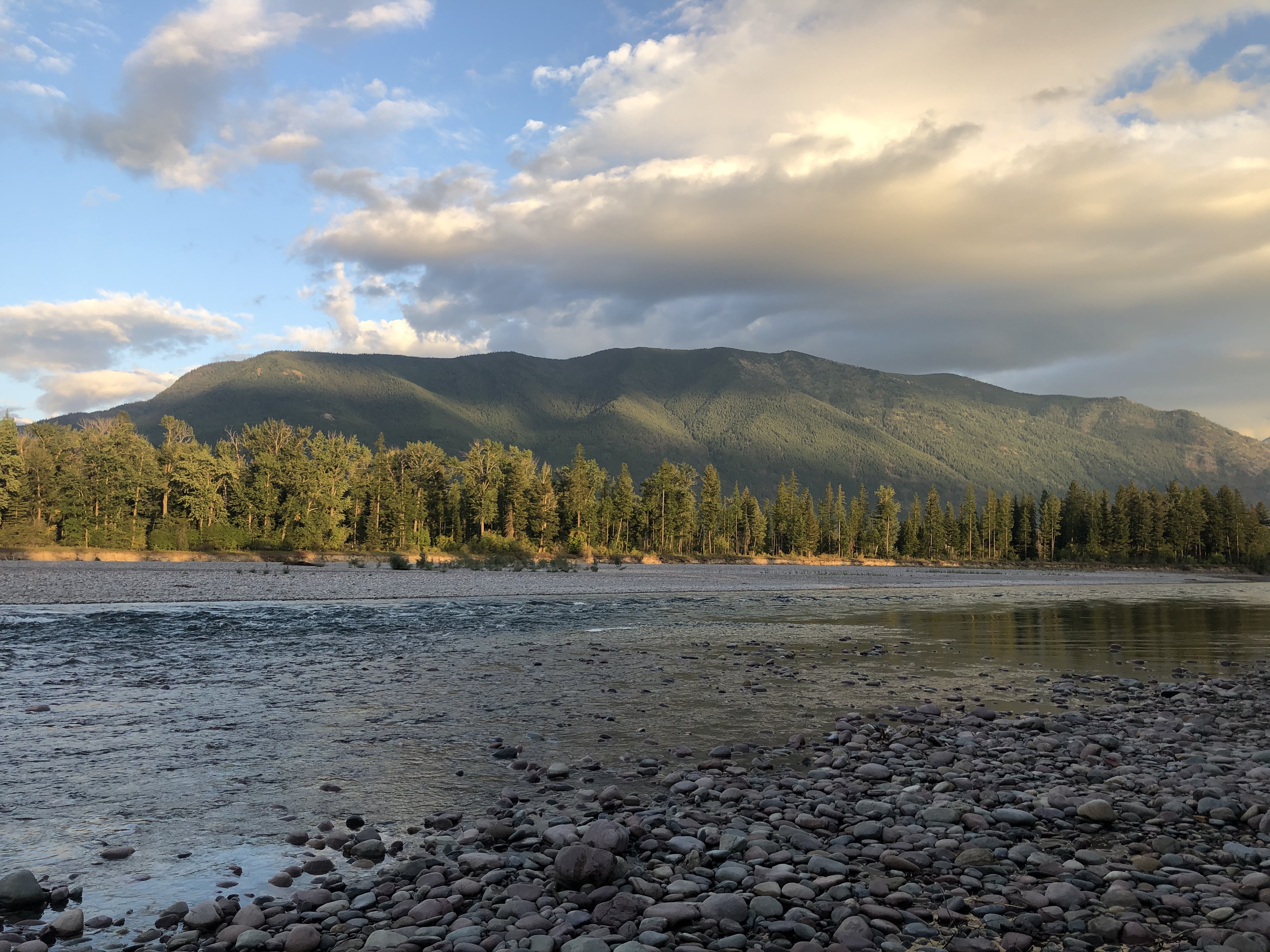 Flathead River from Columbia Falls · 2020
